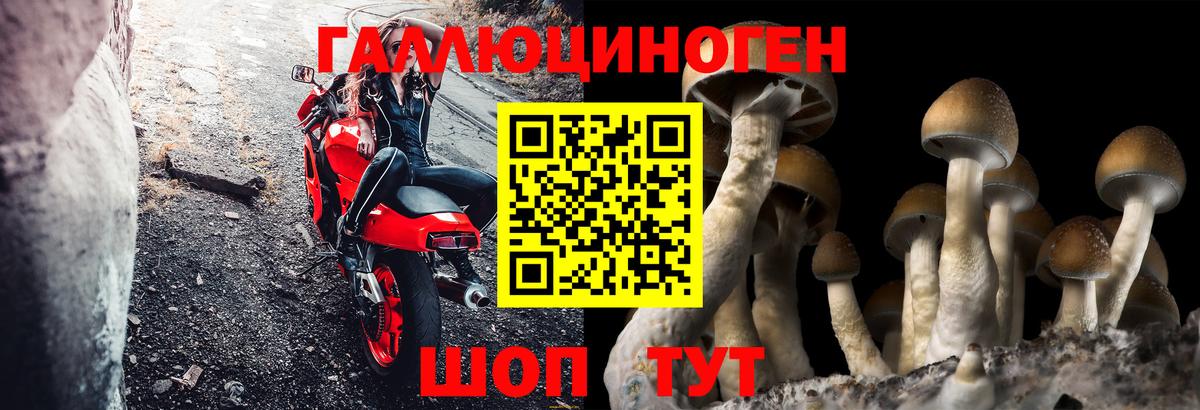 Псилоцибиновые грибы мицелий  Вход с VPN  Дзержинский  Псилоцибиновые грибы GOLDEN TEACHER 
